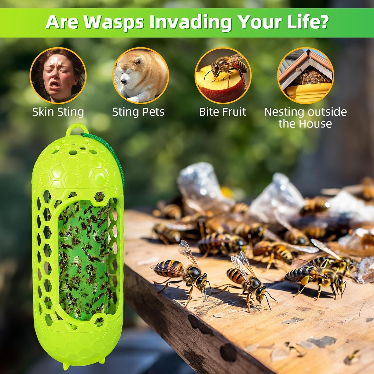 2 Pack Upgraded Outdoor Hanging Wasp Trap, Bee Traps for Outdoor Yellow Jacket Bee Catcher Trap, 2 PCS Refillable Sticky Papers, Fly Bug Insect Deterrent Killer