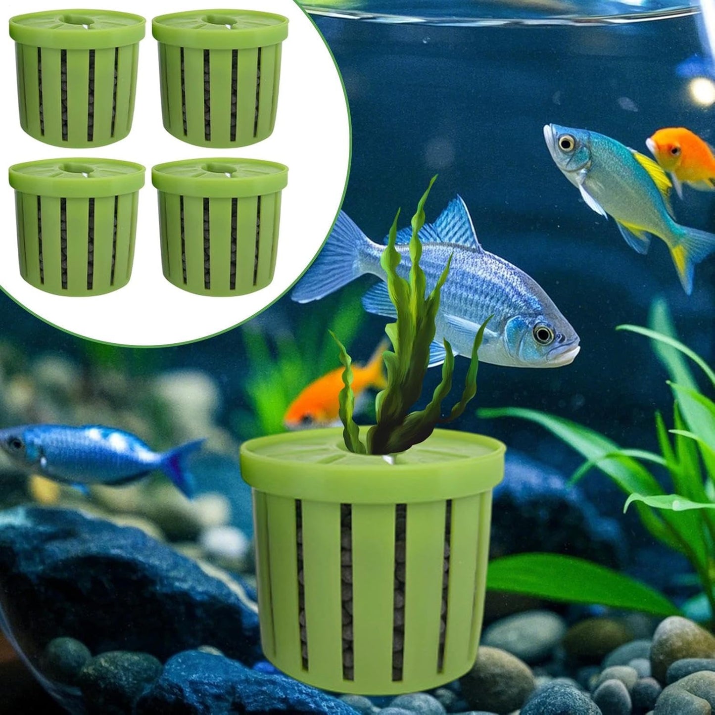Aquarium Plant Cup,Aquatic Plant Cup - Small Stable Planting Basket for Desk Decorations Wall Window Pond Garden Corner Shelf