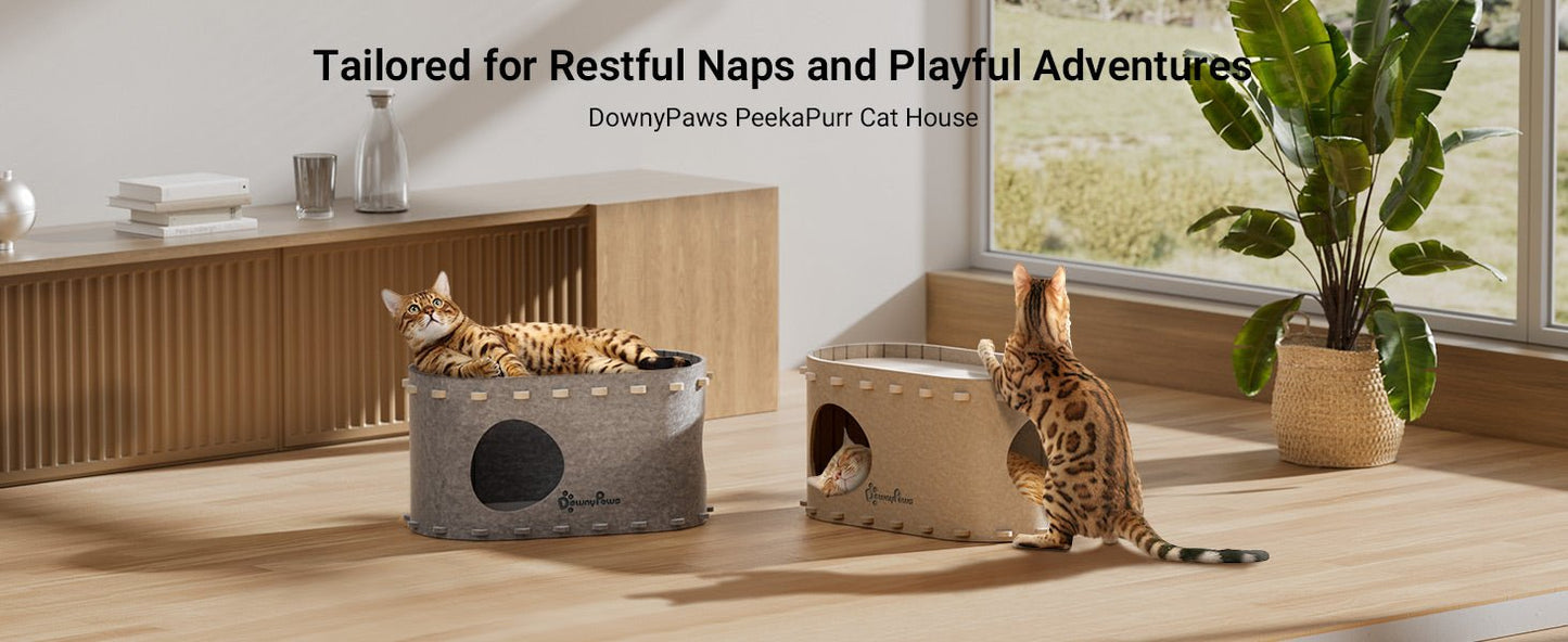DownyPaws Cat House for Indoor Cats, Cat Bed Cave for Multiple & Large Cats Up to 22 Lbs, Scratch Resistant Peekaboo Cat Caves, Foldable Cat Tunnel Enclosed Bed, PeekaPurr, Cream - TrendyLookz