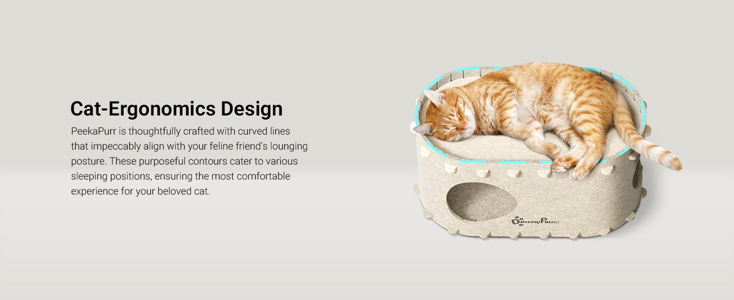 DownyPaws Cat House for Indoor Cats, Cat Bed Cave for Multiple & Large Cats Up to 22 Lbs, Scratch Resistant Peekaboo Cat Caves, Foldable Cat Tunnel Enclosed Bed, PeekaPurr, Cream - TrendyLookz