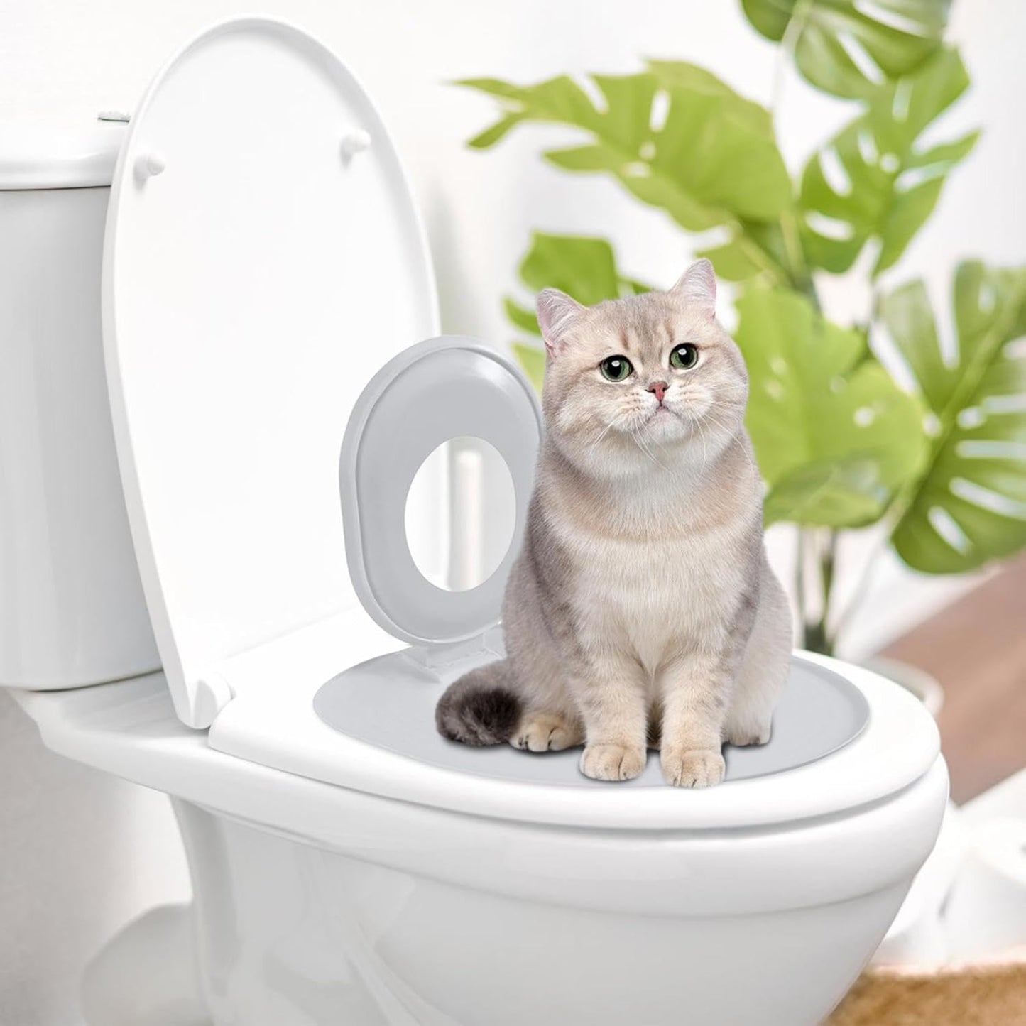 Cat Toilet Training Kit-Cat Toilet Seat Training Kit | Cats Toilet Traiining System | Teach to Use | Reusable Thrainer | Trainig Seat Tool | Box for Pet Cleaning (Grey)