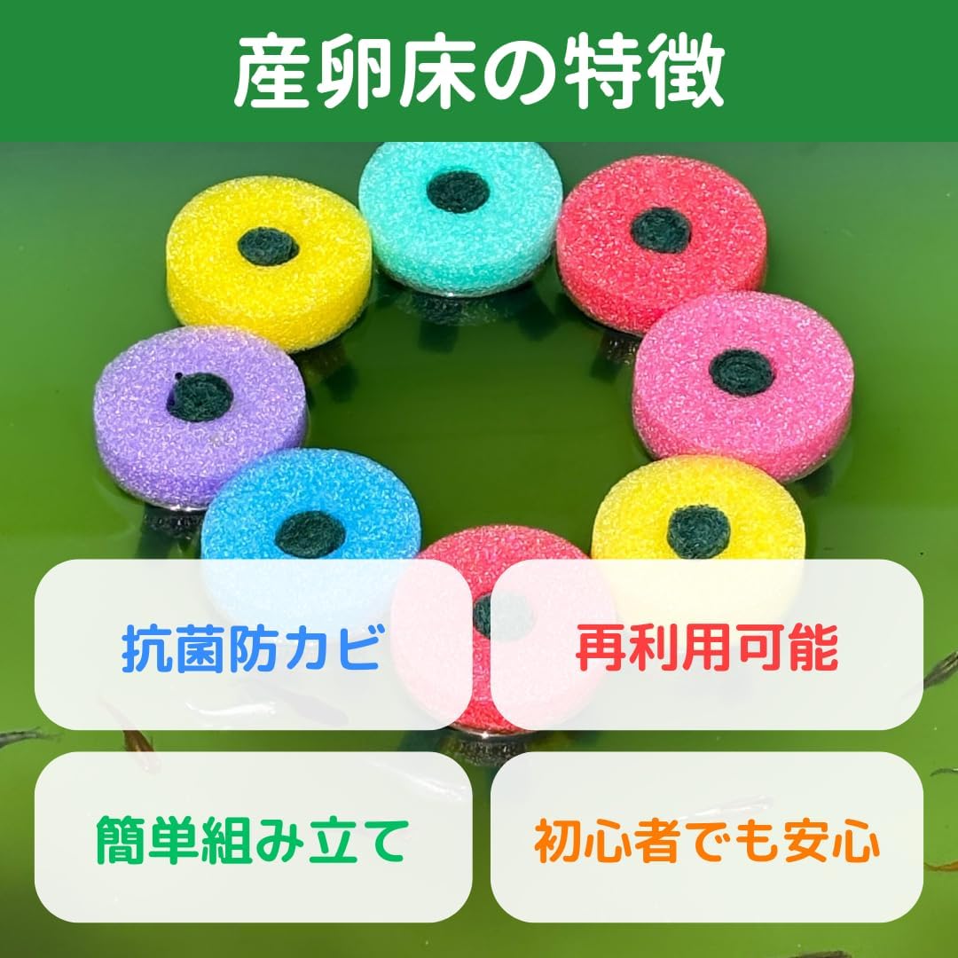 おひさまめだか メダカEgg-laying bed 8Each pieceり6Colorセット No abrasive used Antibacterial カビPrevention Hatching Rate UP Egg-laying rate UP Propagationサポート Supports large-scale egg production Reusable Sink Beginner Levelき Increase in egg production Prevent Egg Eating