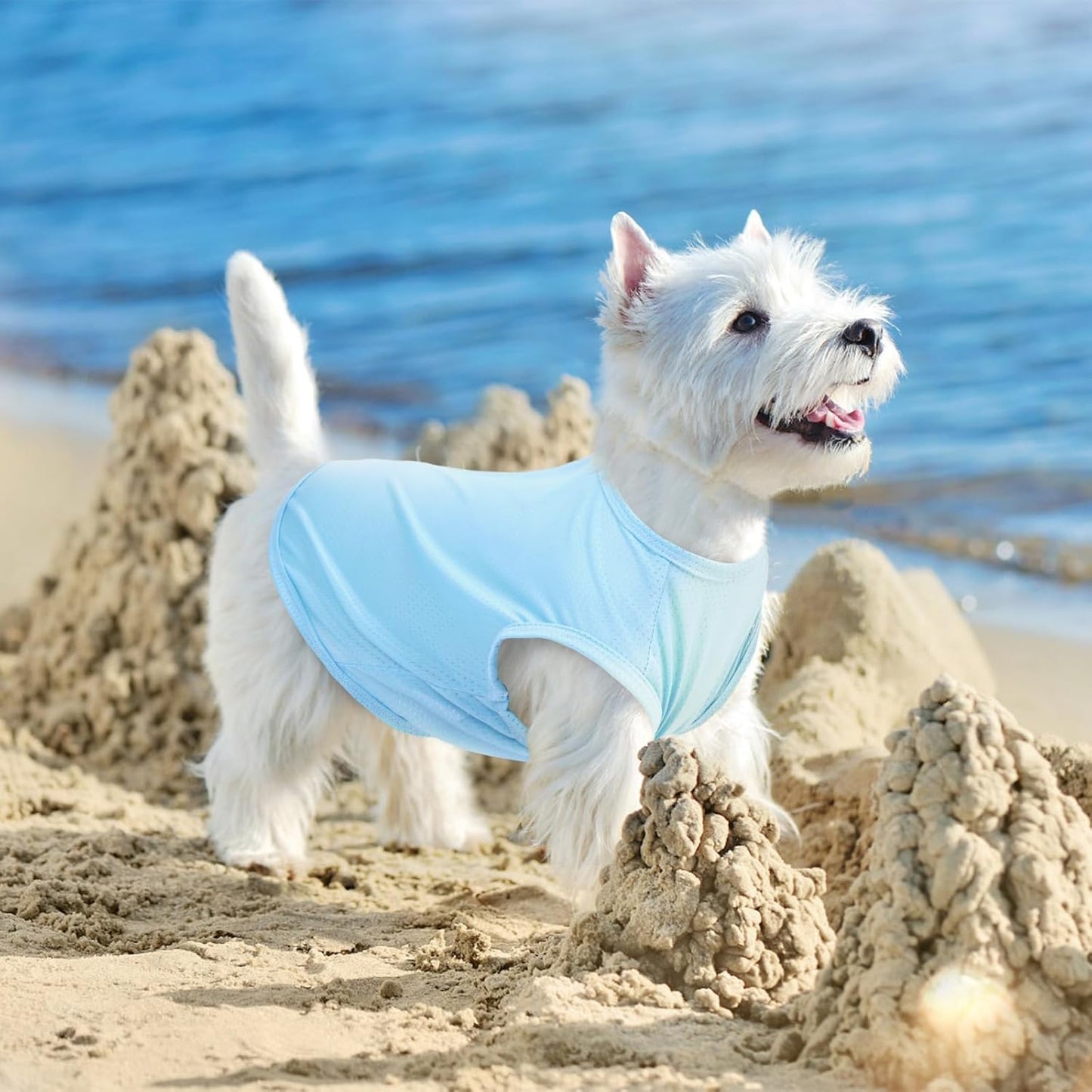Hunde Shirt Sommer, Kühlwesten für Hunde, Hund UV Schutz T-Shirt, Hundekostüm, Hundehemd Tshirt, Haustier Tshirt für Kleine Mittelgroße Hund Katzen, Haustier Kleidung für Chihuahua, Yorkie (Rosa,M)