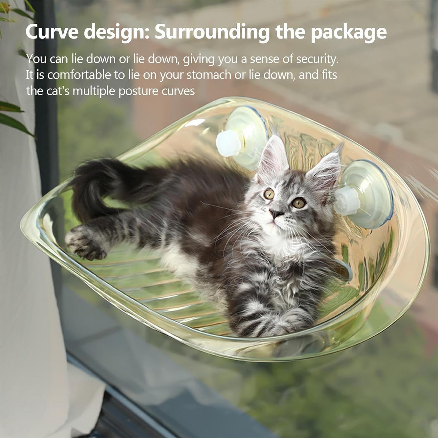 ウォールキャットベッドFurniture - クリアアクリルCatハンモック、FloatingかぶWallにTakeりPayけられたKittenのStopまり|SleepているCatのためのAttractionカップRest and SleepてDengる、IndoorのPlayびVenueのペットラウンジャーShed