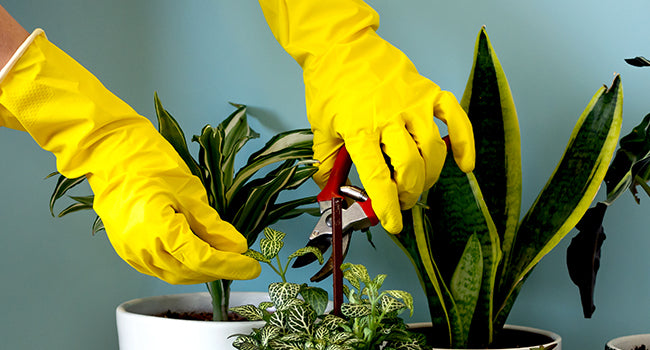 Rubber Kitchen Dishwashing Gloves - 4 Pairs Colorful Reusable Household Cleaning Gloves for Washing Dishes and Cleaning Tasks, Flexible Long-lasting and Non-Slip (Medium, Blue+Pink+Yellow+Red)