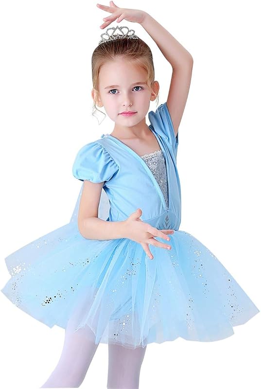 HIHCBF Princess Girls Leotards Ballet Dance Skirted Tutus Short Sleeve Dancewear Halloween Christmas Party Fancy Dress