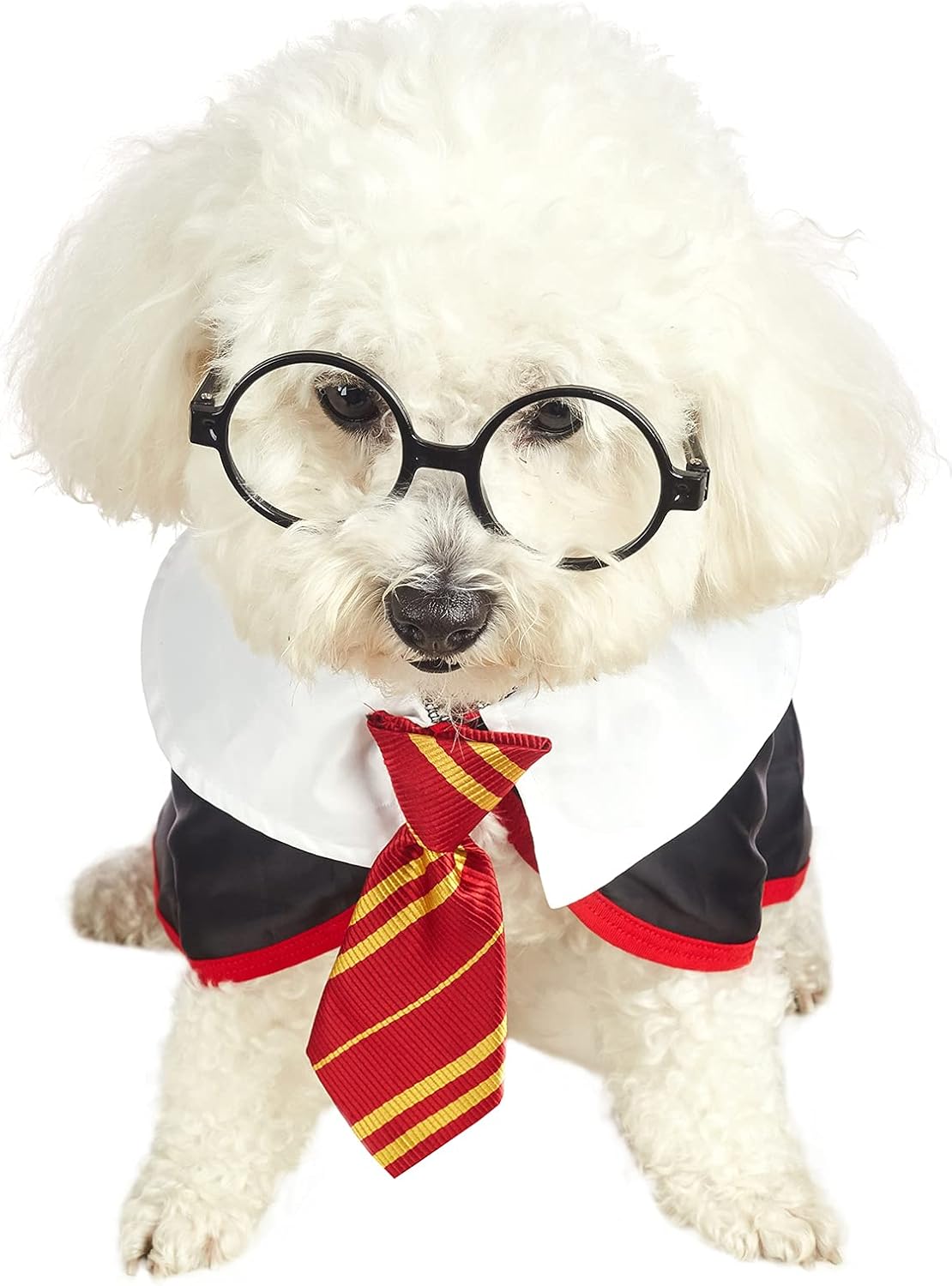 Pet Halloween Dog Shirts Funny Cat Wizard Costume Cute Apparel Soft Clothes with Glasses (Large,Neck:18")
