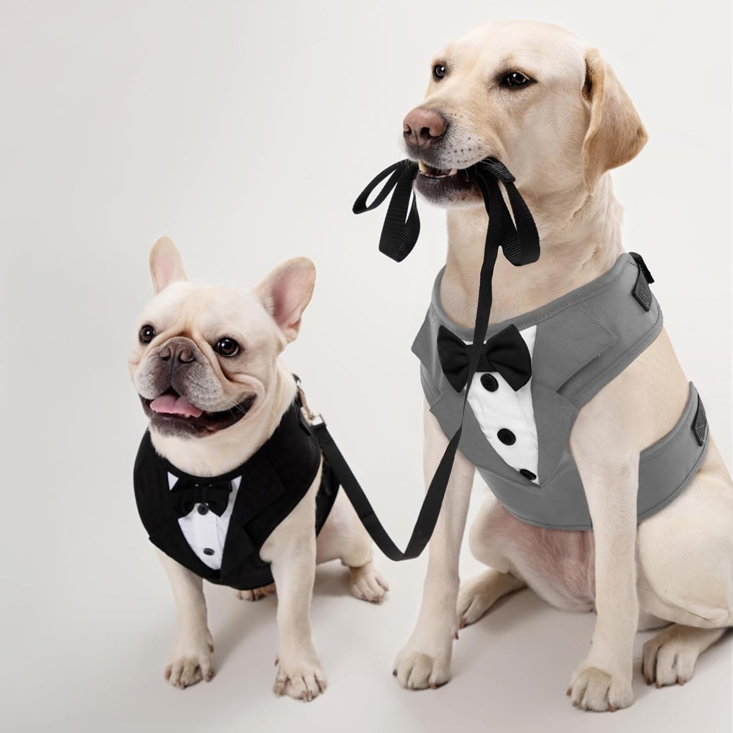 Kuoser Tuxedo Dog Harness, Adjustable No Pull for Small Medium Dogs, Wedding Suit with Bow Tie Party Costume, Gray XS