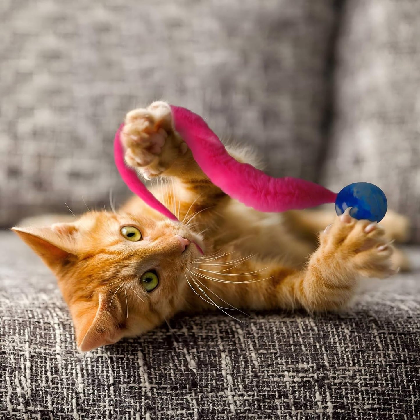 Yuannee Balle Chat,6 PCS Balle Interactive pour Chat avec Plumes Jouet Magique Rebondissant en Caoutchouc Multicolore Balles de Jeu d'Intérieur à Longue Queue Stimulation Motrice pour Chaton & Adulte