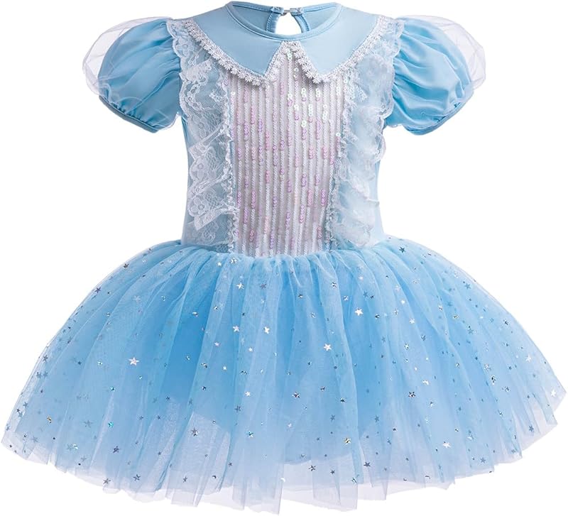 HIHCBF Princess Girls Leotards Ballet Dance Skirted Tutus Short Sleeve Dancewear Halloween Christmas Party Fancy Dress - TrendyLookz