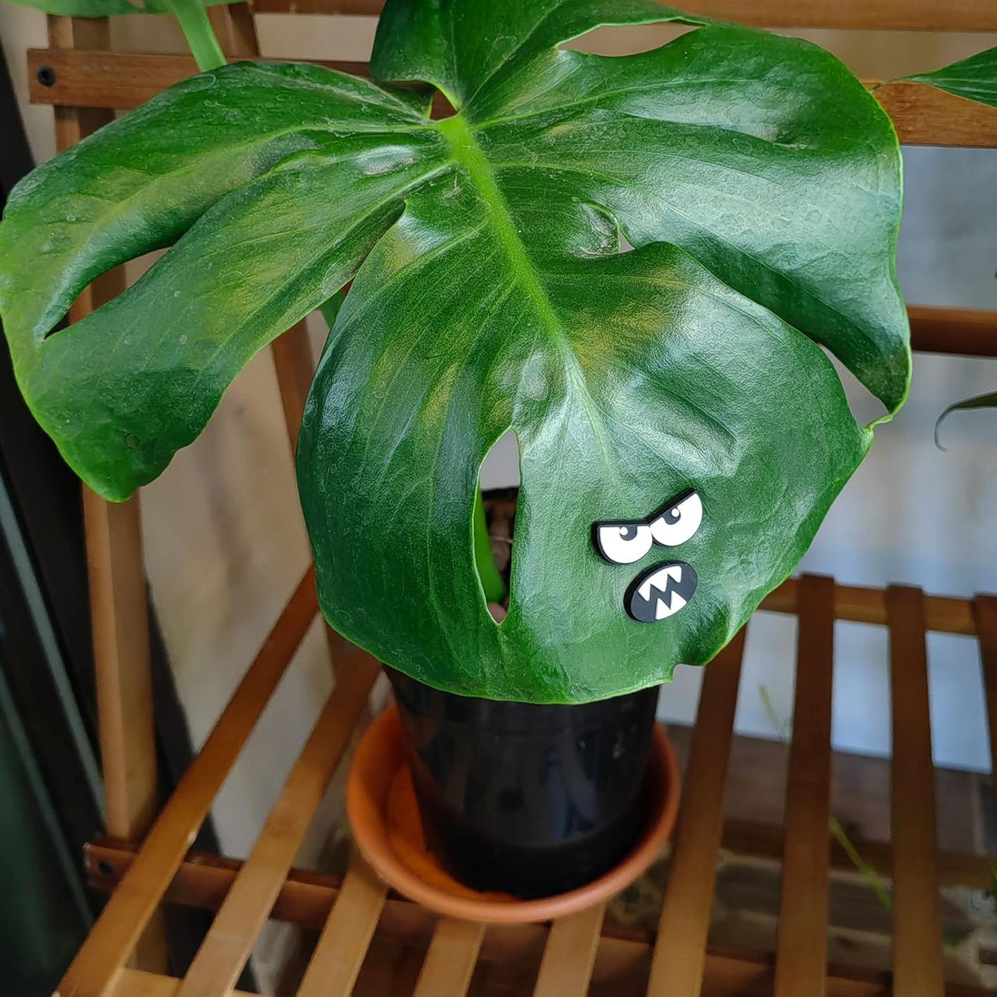 Monster Plant Magnets Eyes for Potted Plants, Funny Plant Safe Magnet Pins Charms, House Plant Accessories, Christmas Decorations Gift for Plant Lovers - TrendyLookz