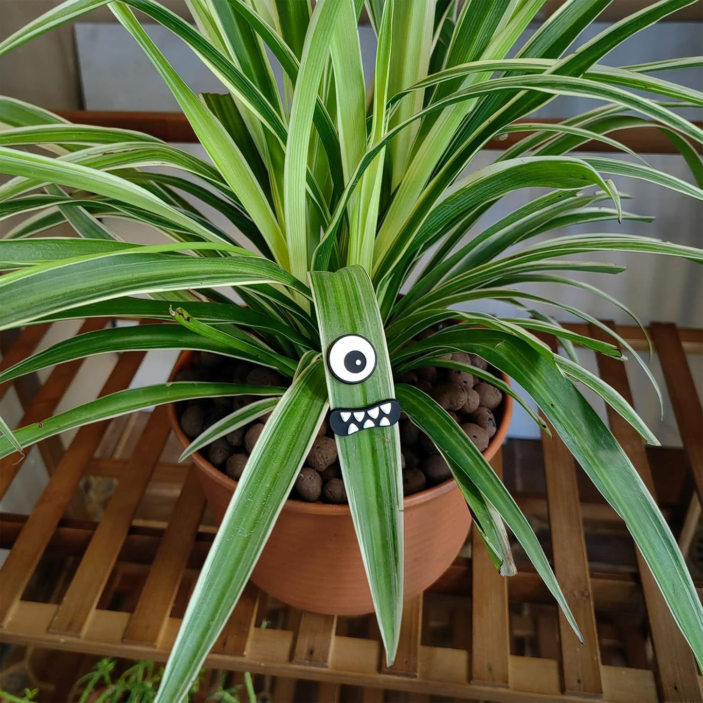 Monster Plant Magnets Eyes for Potted Plants, Funny Plant Safe Magnet Pins Charms, House Plant Accessories, Christmas Decorations Gift for Plant Lovers - TrendyLookz