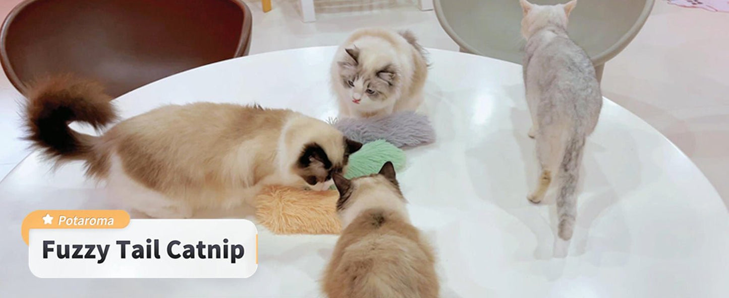 Potaroma Cat Toys Pillows, 3 Pack, Soft and Durable Crinkle Sound with Catnip Inside, Interactive Indoor Kitten Kicker, Promotes Kitty Exercise - TrendyLookz