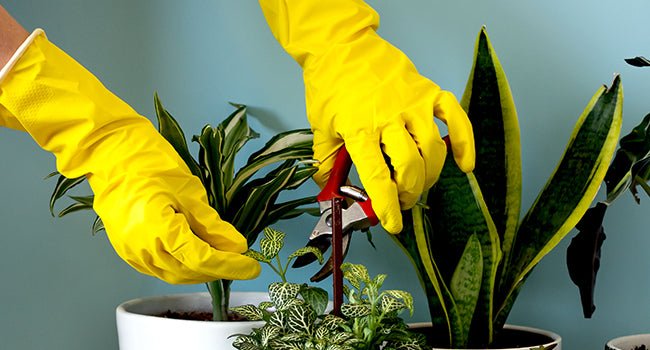 Rubber Kitchen Dishwashing Gloves - 4 Pairs Colorful Reusable Household Cleaning Gloves for Washing Dishes and Cleaning Tasks, Flexible Long - lasting and Non - Slip (Medium, Blue+Pink+Yellow+Red) - TrendyLookz