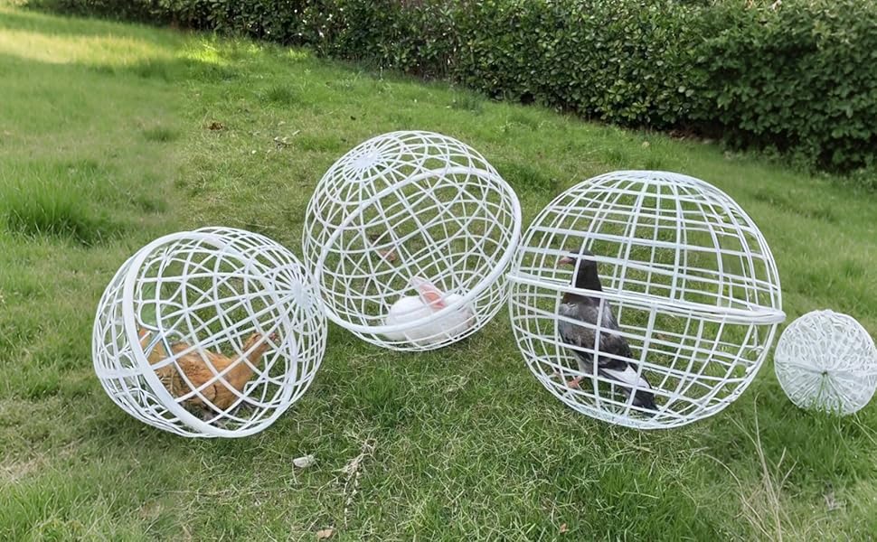 Chicken Balls Cage for Outside,3pack Chicken Ball Cage Rolling,Chicken Coop Ball, Mobile Poultry Enclosure Round, Removable Safety Cage, for Chicks Rabbits Birds (Large 3PCS)