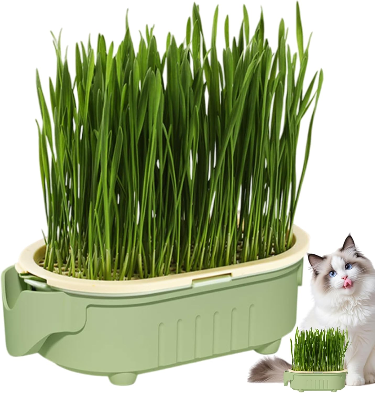 Hydroponic Cat Grass Pot | Indoor Cat Grass Hydroponic Planting Pot - Beginners-Friendly Novelty Pet Snacks Soil-Less Watering Solution for Garden, Balcony
