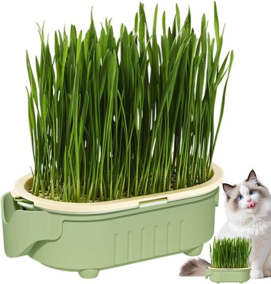 Hydroponic Cat Grass Pot | Indoor Cat Grass Hydroponic Planting Pot - Beginners-Friendly Novelty Pet Snacks Soil-Less Watering Solution for Garden, Balcony