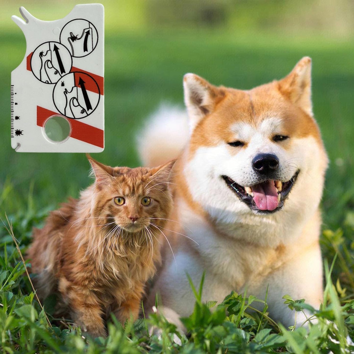 IZyufan 2 Stück Zeckenkarte, Zecken Waagenkarte Mit Lupe, Schnelle Reinigung Von Zecken Zeckenkarte für Menschen Kinder Hunde Katzen