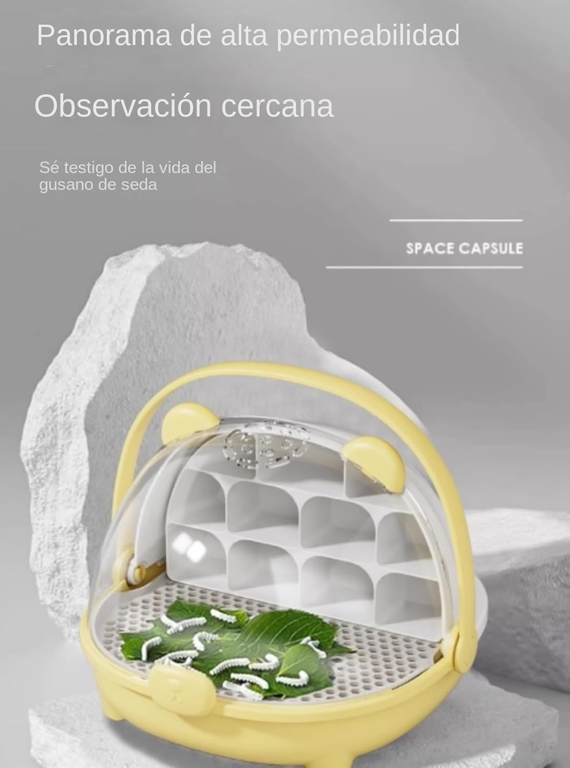 Boîte de reproduction pour vers de soie - Boîte de reproduction facile à observer - Habitat transparent respirant - Récipient à capsules spatiales d'élevage de vers à soie