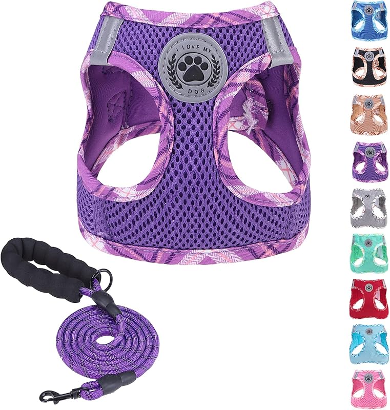 BEAUTYZOO Plaid Dog Harness and Leash Set for XS S Pets, Step-in No Choke No Pull Soft Mesh Vest Harness, Reflective for Extra-Small/Small Medium Puppy Dogs and Cats, Beige S