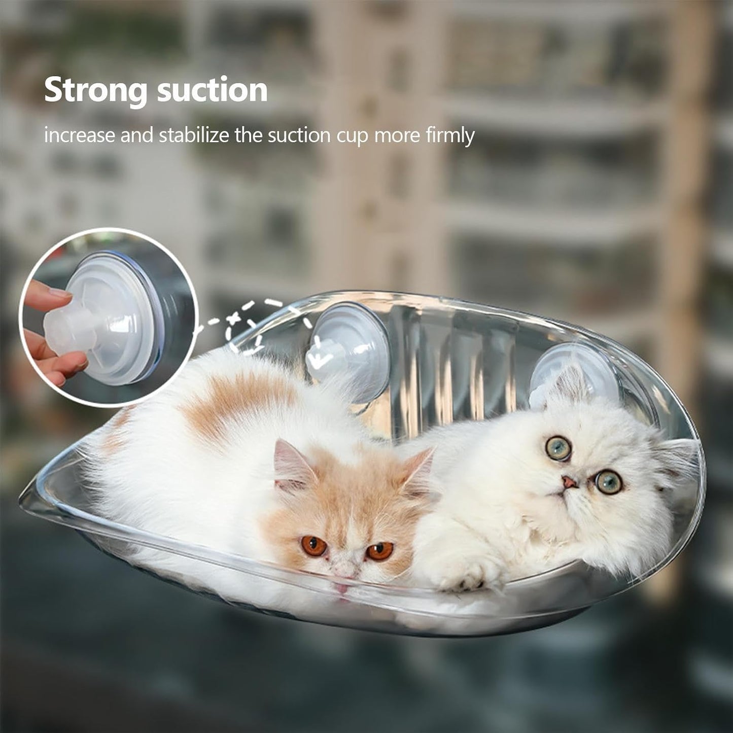 ウォールキャットベッドFurniture - クリアアクリルCatハンモック、FloatingかぶWallにTakeりPayけられたKittenのStopまり|SleepているCatのためのAttractionカップRest and SleepてDengる、IndoorのPlayびVenueのペットラウンジャーShed