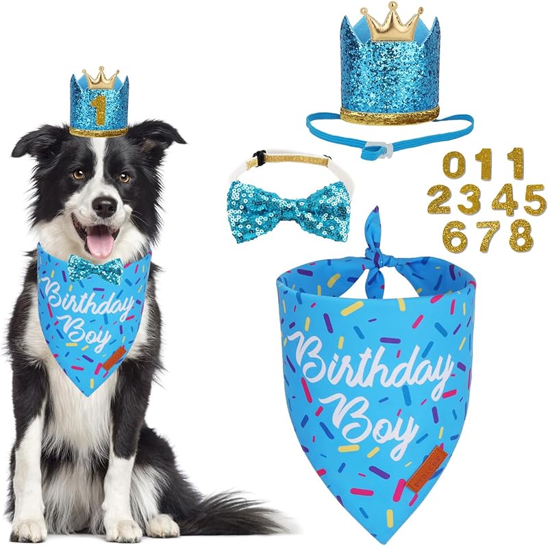 PTDECOR Dog Birthday Party Supplies, Multi Size Birthday Boy Bandana, Blue Crowns Dog Hat Set for Small Pets (Small)