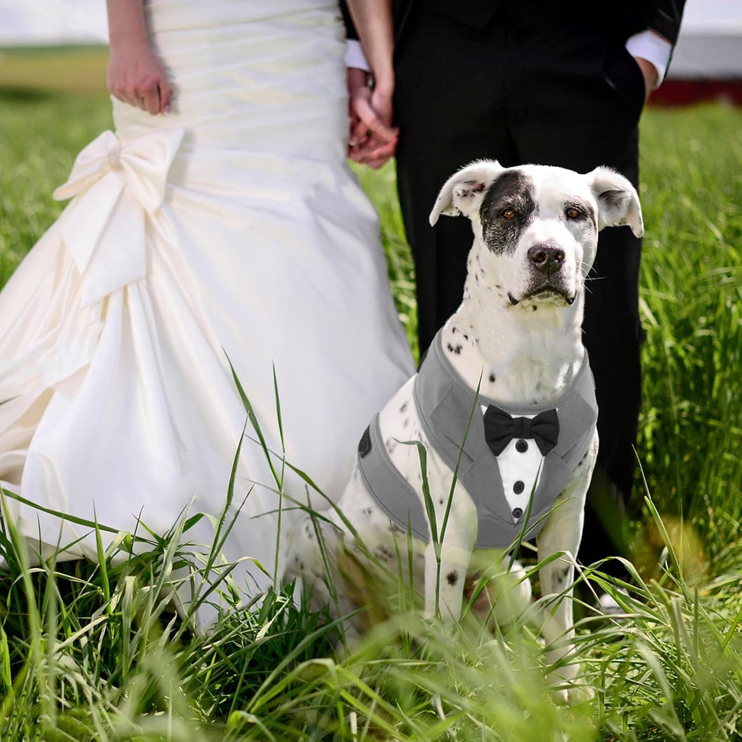 Kuoser Tuxedo Dog Harness, Adjustable No Pull for Small Medium Dogs, Wedding Suit with Bow Tie Party Costume, Gray XS