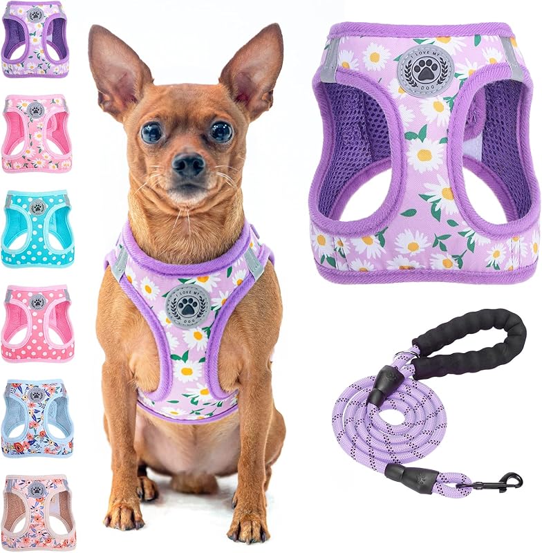 BEAUTYZOO Plaid Dog Harness and Leash Set for XS S Pets, Step-in No Choke No Pull Soft Mesh Vest Harness, Reflective for Extra-Small/Small Medium Puppy Dogs and Cats, Beige S