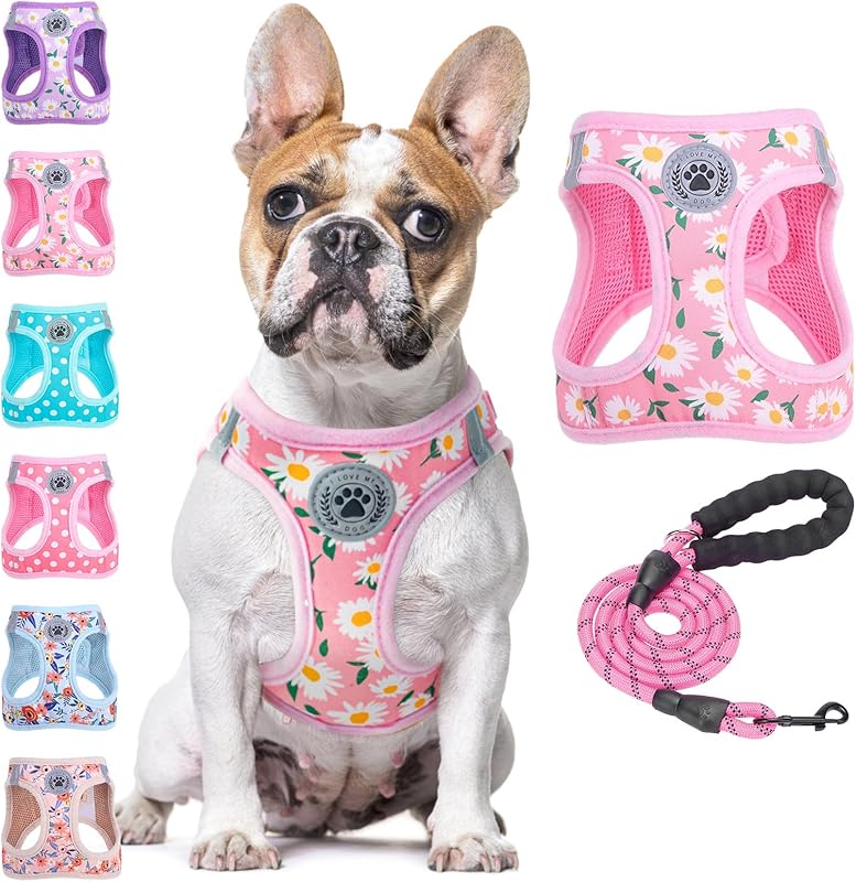BEAUTYZOO Plaid Dog Harness and Leash Set for XS S Pets, Step-in No Choke No Pull Soft Mesh Vest Harness, Reflective for Extra-Small/Small Medium Puppy Dogs and Cats, Beige S