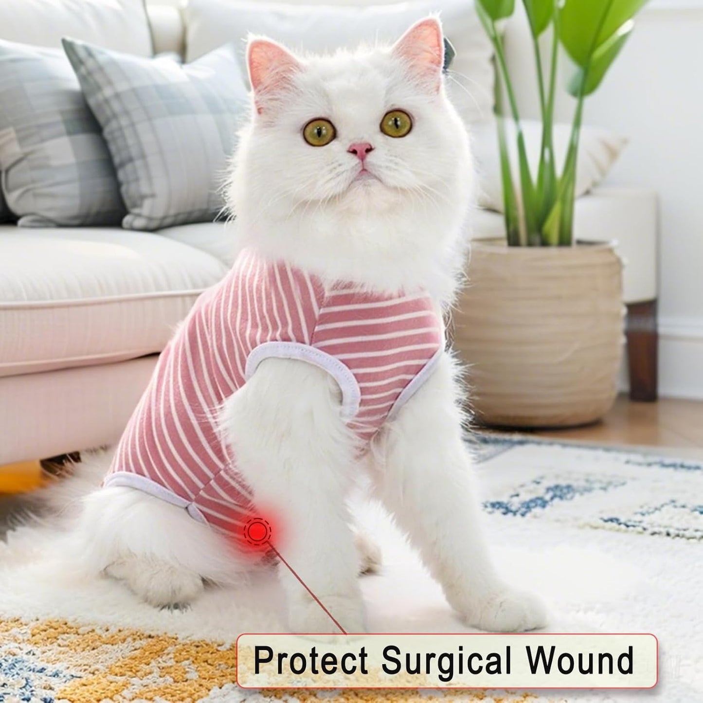 Cat Recovery Suit for Male and Female Surgical Post Surgery Soft Surgery Recovery Suit Onesie for Cats,E-Collar Alternative Anti-Licking Outfit Pet Surgical Recovery Pajama Suits