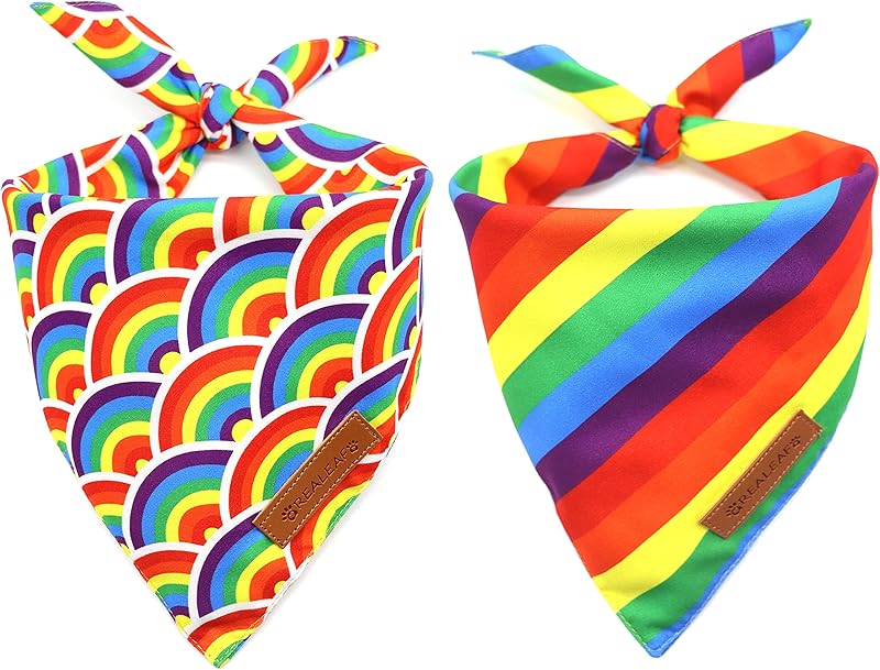 Realeaf Halloween Dog Bandanas 2 Pack, Pumpkin and Spider Web Bibs, Triangle Reversible Fall Pet Scarf, Premium Durable Fabric, Adjustable Fit (Large)