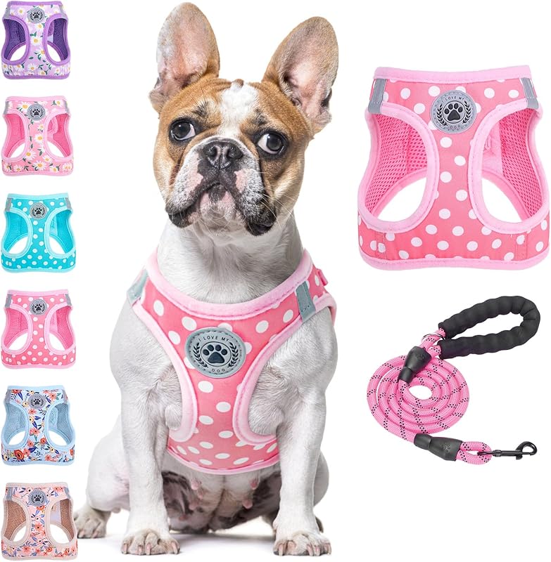 BEAUTYZOO Plaid Dog Harness and Leash Set for XS S Pets, Step-in No Choke No Pull Soft Mesh Vest Harness, Reflective for Extra-Small/Small Medium Puppy Dogs and Cats, Beige S