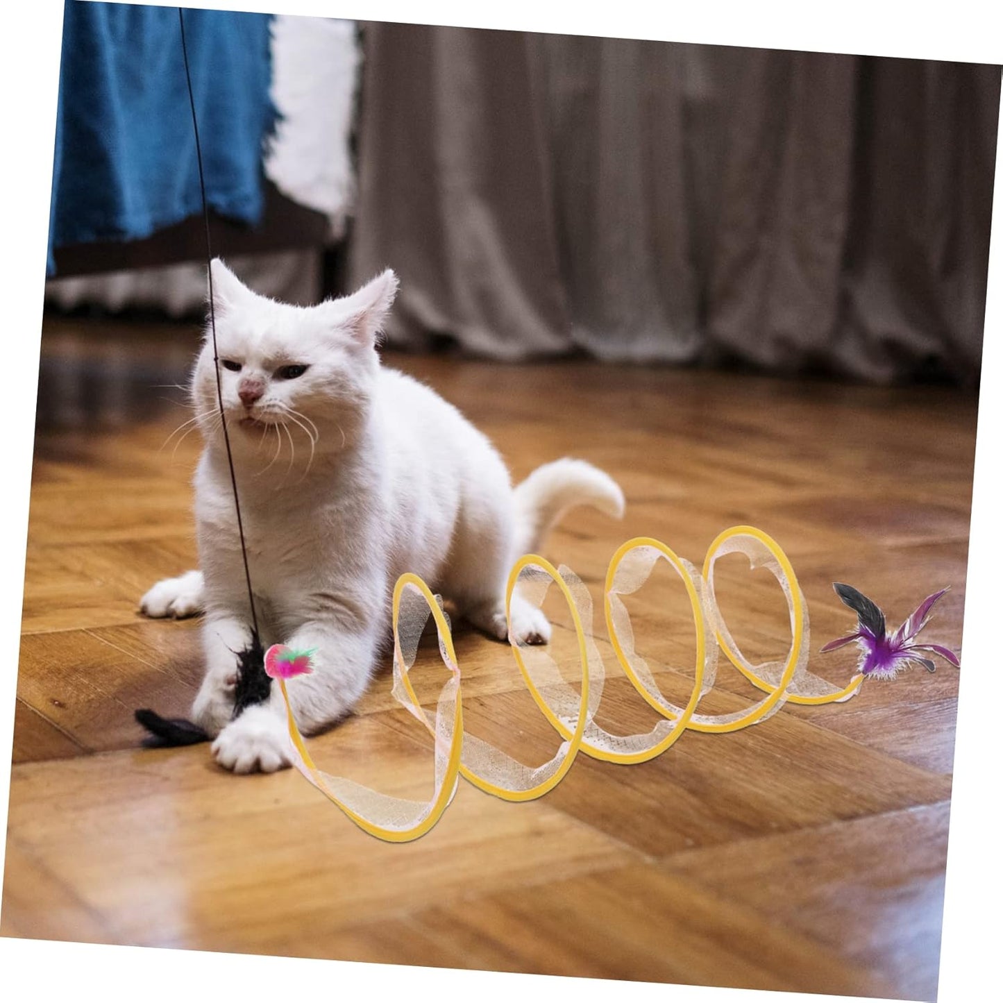 NOLITOY Catトンネルおもちゃ Kittenのトンネルのおもちゃ. For indoor catsのCatトンネル CatのトンネルIndoor Foldりmatまれた CatインタラクティブIndoor Cat for Catsトンネル Catのチューブ Steel Wire
