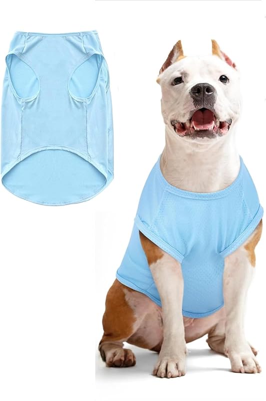 Hunde Shirt Sommer, Kühlwesten für Hunde, Hund UV Schutz T-Shirt, Hundekostüm, Hundehemd Tshirt, Haustier Tshirt für Kleine Mittelgroße Hund Katzen, Haustier Kleidung für Chihuahua, Yorkie (Rosa,M)
