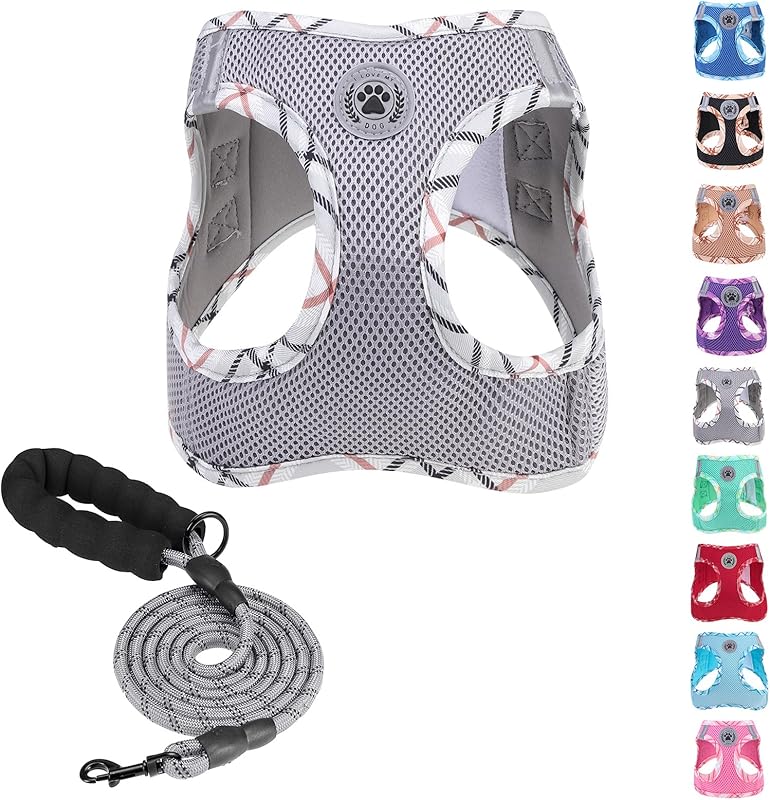 BEAUTYZOO Plaid Dog Harness and Leash Set for XS S Pets, Step-in No Choke No Pull Soft Mesh Vest Harness, Reflective for Extra-Small/Small Medium Puppy Dogs and Cats, Beige S