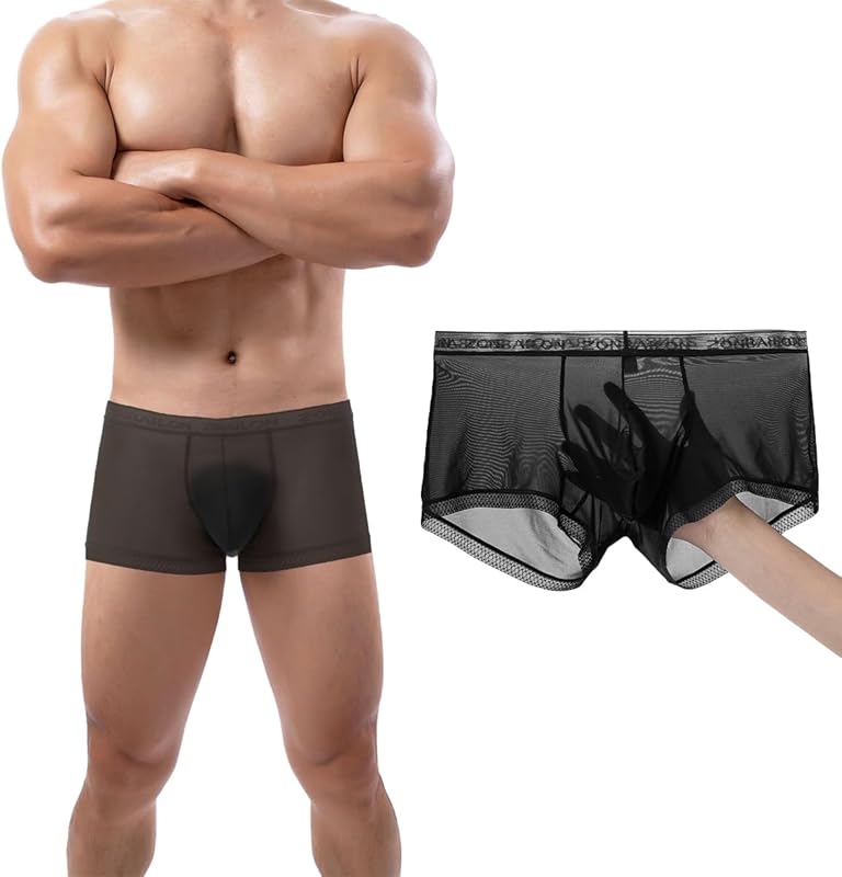 Men's Sexy Underwear Ice Silk Sheer Boxer Briefs See Through Mesh Ultra Thin Transparent Trunk