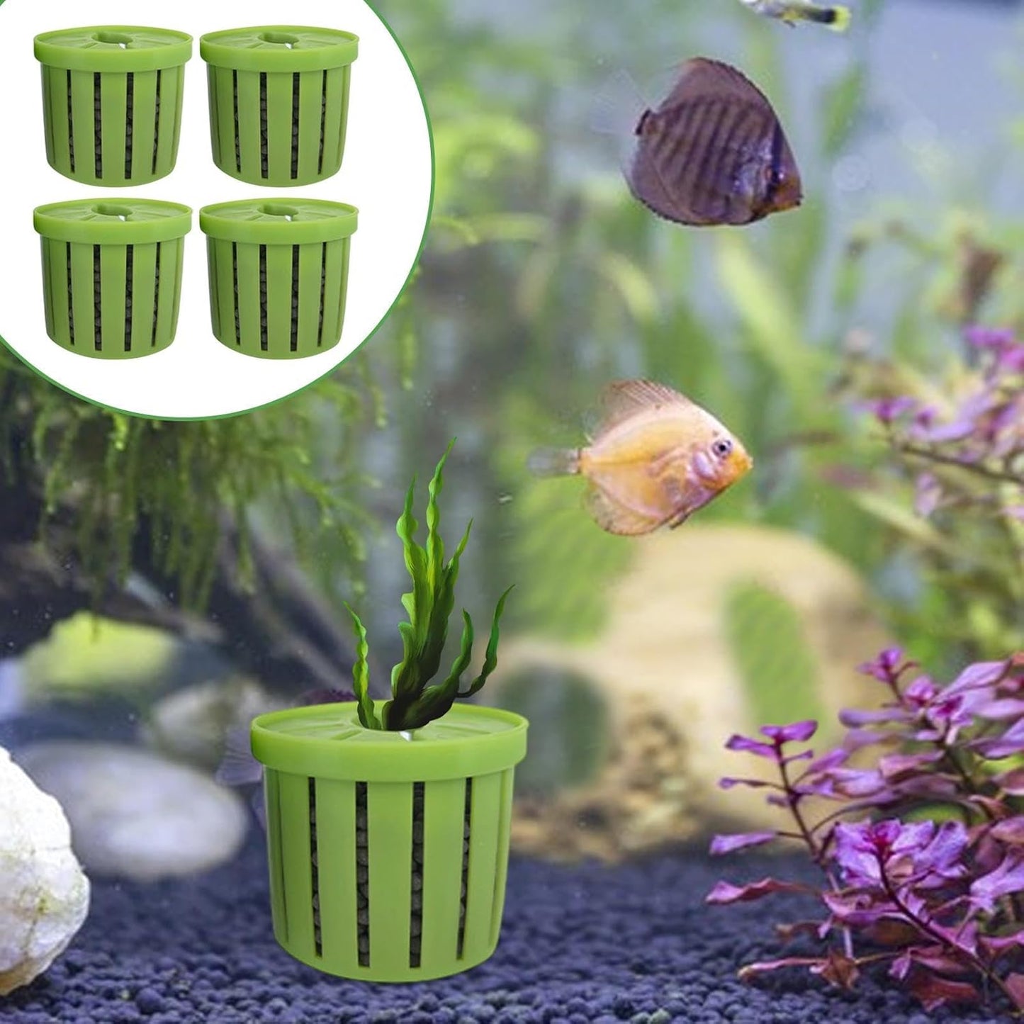 Aquarium Plant Cup,Aquatic Plant Cup - Small Stable Planting Basket for Desk Decorations Wall Window Pond Garden Corner Shelf