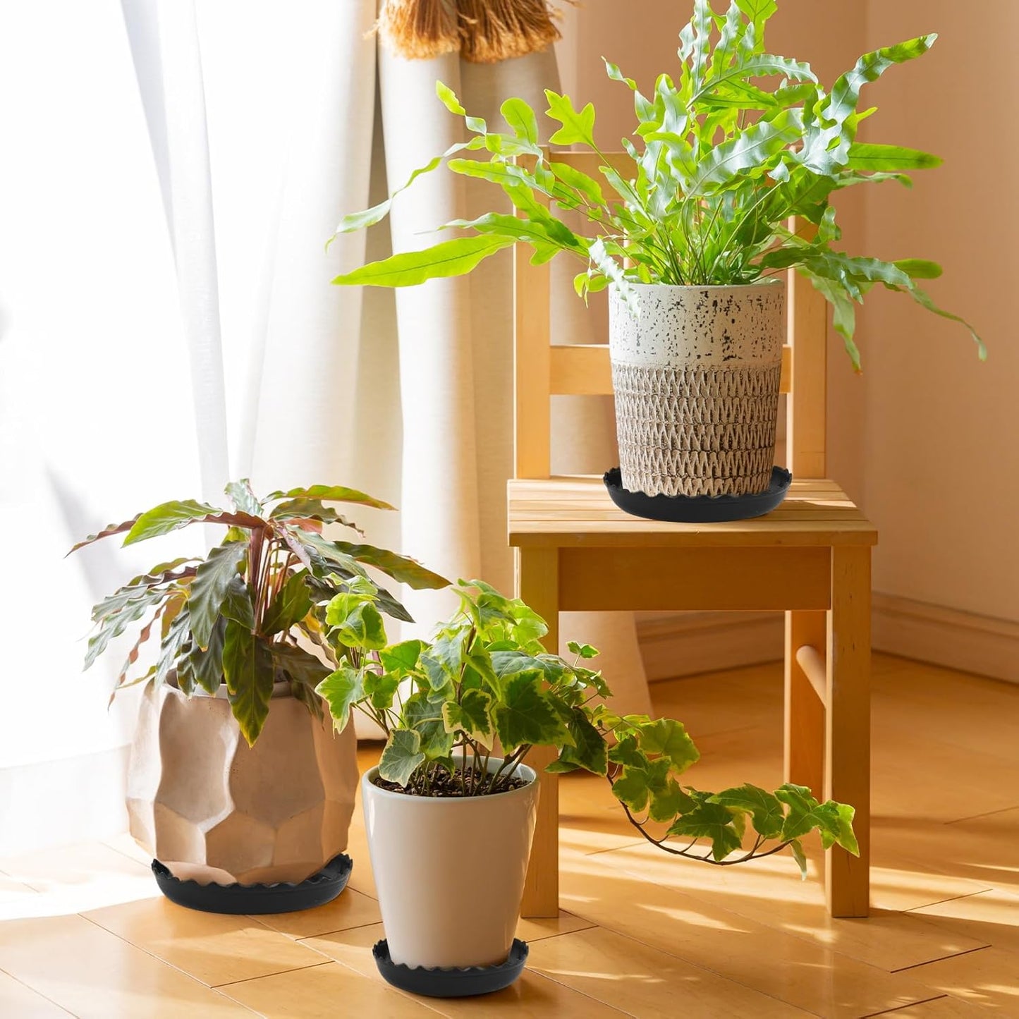 6 Packs Wave Plant Saucer - Plastic Flower Pot Drip Trays/Durable Heavy Duty Black Plant Tray for Indoor and Out Door Plant(6/8/10 inch)
