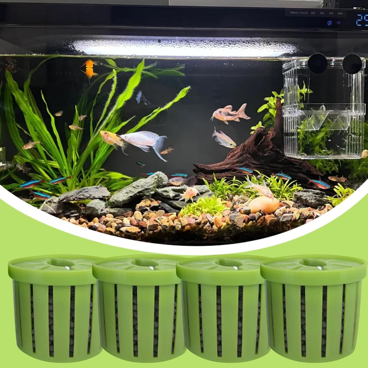 Aquarium Plant Cup,Aquatic Plant Cup - Small Stable Planting Basket for Desk Decorations Wall Window Pond Garden Corner Shelf