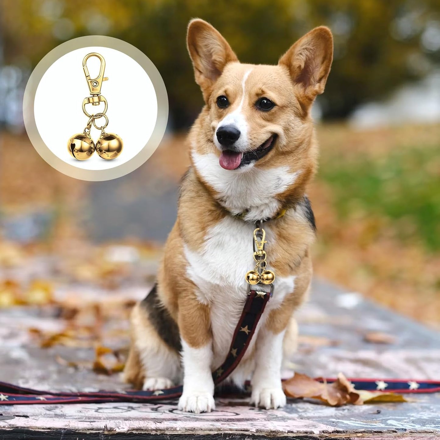 2 Pcs Bells for Dog Collars Mini Dog Collar Bell Pet Pendant Accessories Dogs Training Bell Collar Gold Training Collars Charm for Dogs and Cats