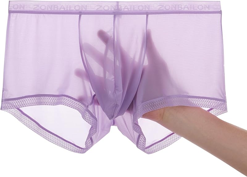 Men's Sexy Underwear Ice Silk Sheer Boxer Briefs See Through Mesh Ultra Thin Transparent Trunk