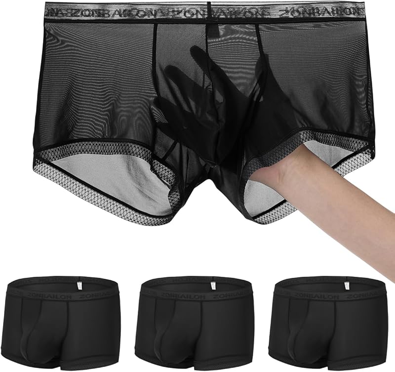 Men's Sexy Underwear Ice Silk Sheer Boxer Briefs See Through Mesh Ultra Thin Transparent Trunk
