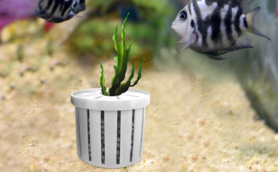 Aquarium Plant Cup,Aquatic Plant Cup - Small Stable Planting Basket for Desk Decorations Wall Window Pond Garden Corner Shelf