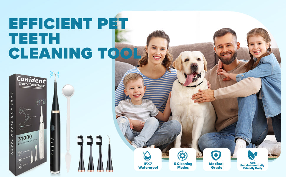 Canident - Sonic Tooth Cleaner for Dogs.Cat Dental Care, Electric Sonic Tooth Cleaner for Dogs, Pet Tartar Plaque Remover, Professional Dog Teeth Cleaning Tools (Black, Standard Size)