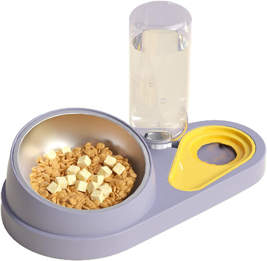 Dog Feeder Set Tilted Postures Cats Food Bowl Anti-Vomiting Raised Bowls with Water Dispenser Bottle Easy to