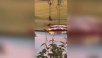 Hummingbird Feeder, 2025 New Proof Leak-Proof Cleaning Brushes Nectar Easy Clean Fill Bird Feeder for Garden Red Decor, Including Hanging Hook, Feeding Port Bird Easy Filling/Cleaning (Red)