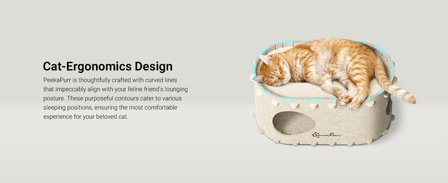 DownyPaws Cat House for Indoor Cats, Cat Bed Cave for Multiple & Large Cats Up to 22 Lbs, Scratch Resistant Peekaboo Cat Caves, Foldable Cat Tunnel Enclosed Bed, PeekaPurr, Cream
