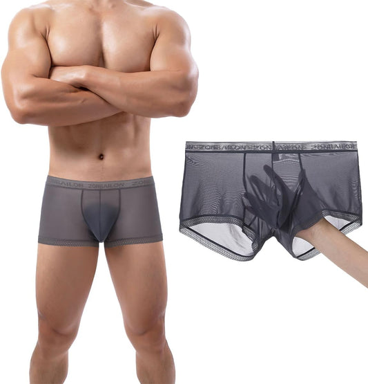 Men's Sexy Underwear Ice Silk Sheer Boxer Briefs See Through Mesh Ultra Thin Transparent Trunk