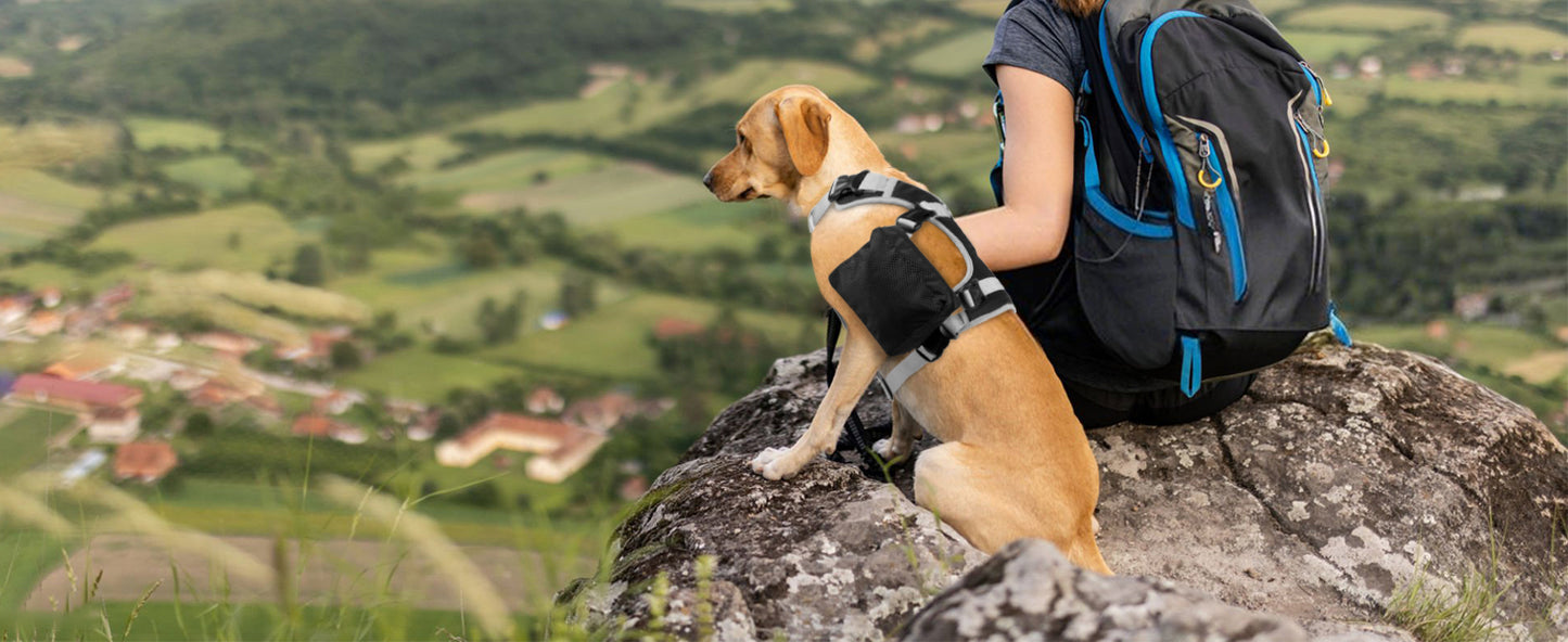 DORA BRIDAL Dog Backpack for Medium & Large Dogs, Dog Backpack Harness, Dogs Hiking Backpack with Side Pockets, Outdoors Pet Saddle for German Shepherd, Labrador (Black, Large)