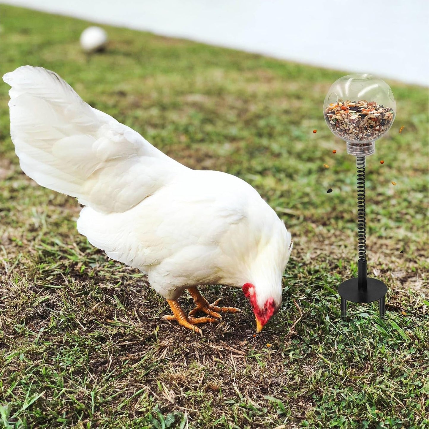 Oooct 2 Pack Chicken Peck Toys, Chicken Enrichment Toys, Chicken Swing Feeder, Chick Slow Feeder Toy, Chicken Coop Toys for Hens Poultry Duck Birds Parrots, Transparent